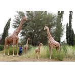 Girafe 18 pieds – Statue girafe Hauteur 515 cm, Collections, Enlèvement ou Envoi, Neuf