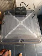 Incubateur Pro d'Exo terra, Enlèvement, Comme neuf, Incubateur ou Couveuse