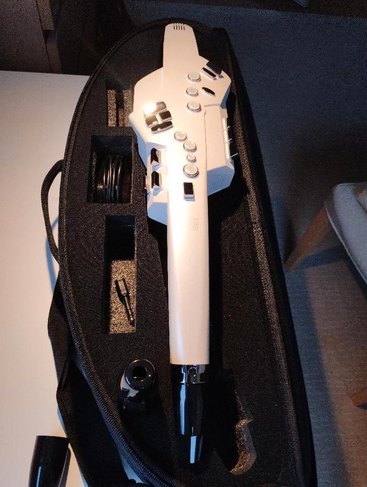 Roland AE-10 Aerophone, Musique & Instruments, Instruments à vent | Saxophones, Comme neuf, Autres types, Avec valise, Enlèvement ou Envoi