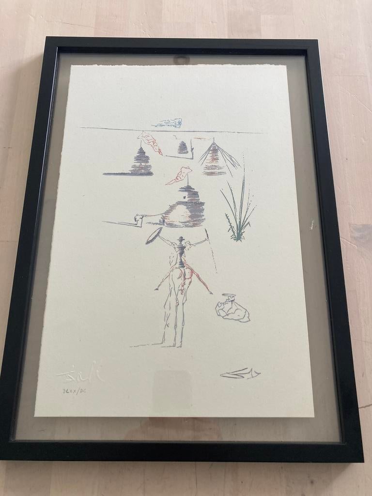 Salvador Dali litho 570/600, Ophalen