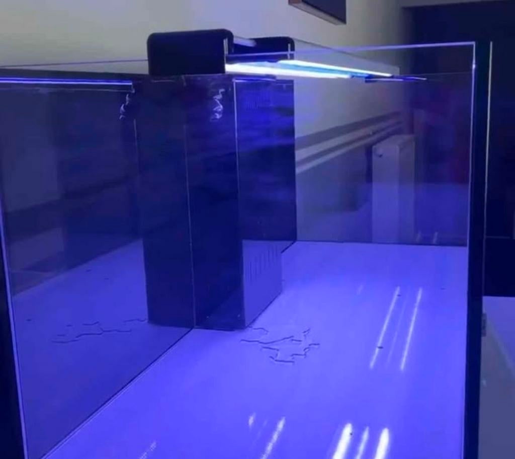 Lampe led aquarium easy led, Enlèvement, Aquatlantis