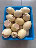 Lege nandoe eieren voor versiering, Enlèvement, Comme neuf, Matériel
