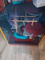 Cage avec furet, Cage, Furet