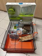 hamsterkooi compleet, Dieren en Toebehoren, Kooi, Gebruikt, Hamster, Ophalen