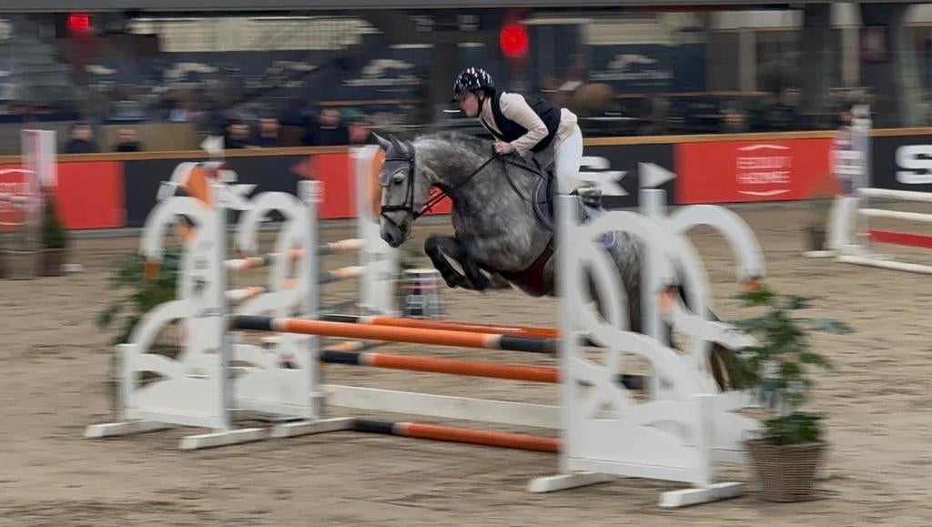 Allrounder leuke merrie