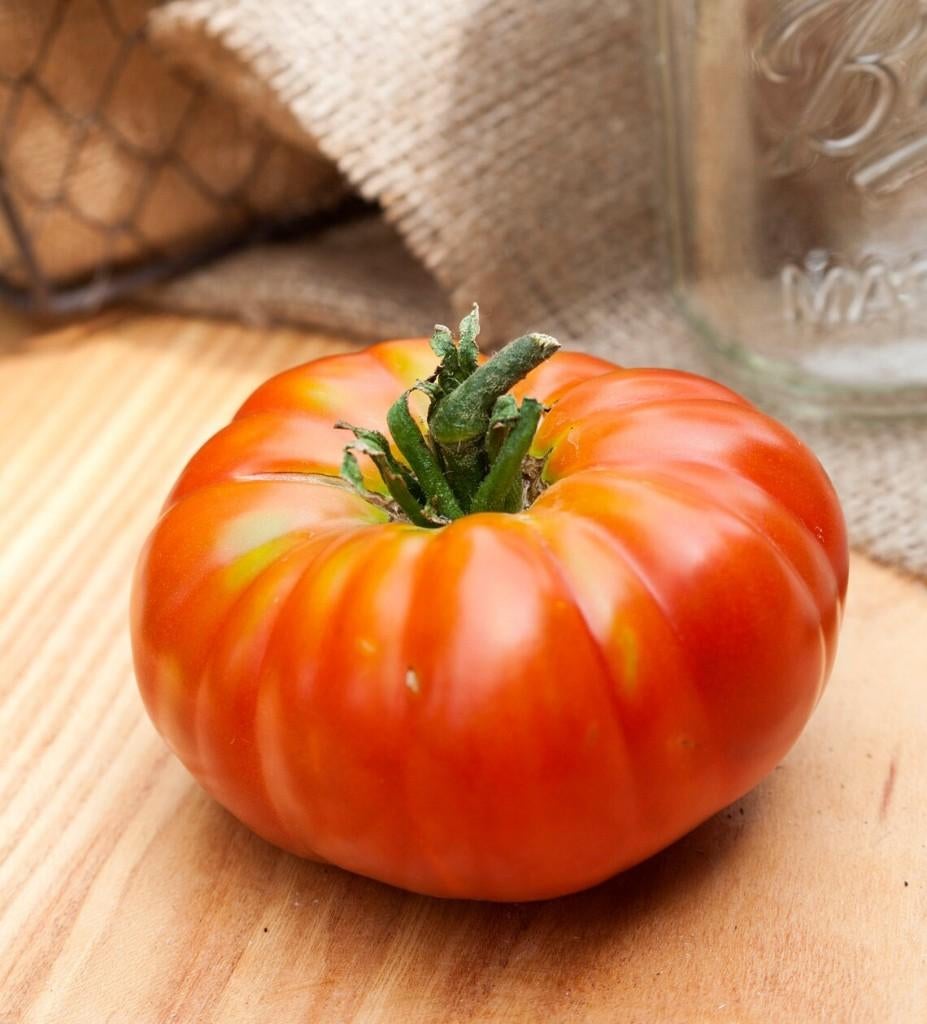 tomatenplanten Pantano Romanesco tomaten, Ophalen