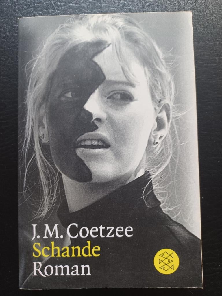 J.M. COETZEE - HONTE, Livres, Biographies, Enlèvement, J.M. COETZEE