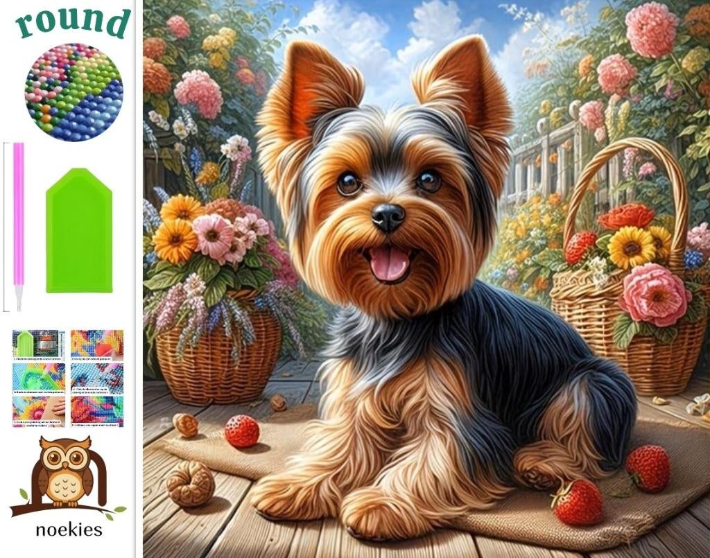nr 574 Diamond Painting yorkshire terrier 20x20cm (rond), Verzenden, Nieuw, Overige materialen, Overige merken