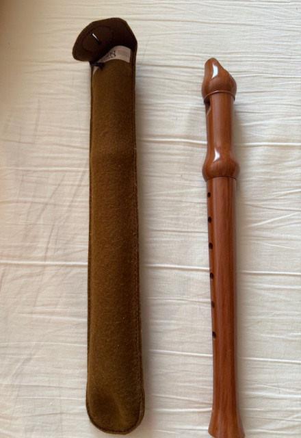 Flûte à bec Kung - Marque suisse + housse – com. neuve, Musique & Instruments, Instruments à vent | Flûtes à bec, Comme neuf, Avec valise, étui ou housse