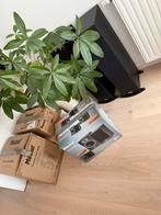 Magnat Tempus + Onkyo 5.1 thuisbioscoopset, Audio, Tv en Foto, 70 watt of meer, Zo goed als nieuw, 5.1-systeem, Ophalen