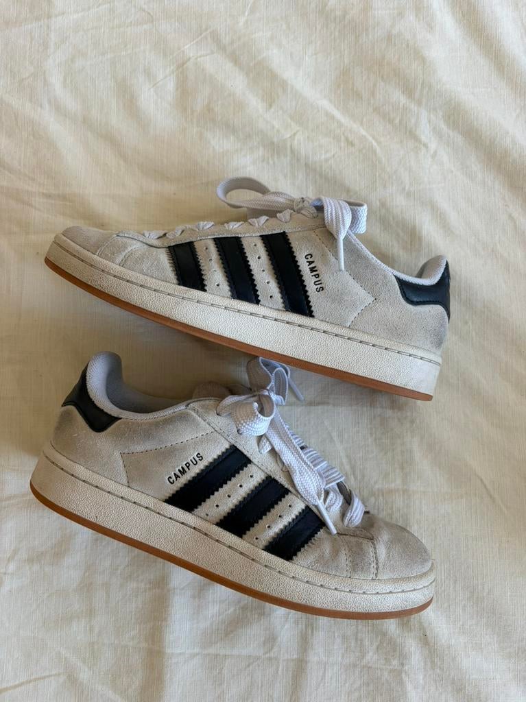 Campus Adidas, Beige, Sneakers et Baskets, Enlèvement, Porté