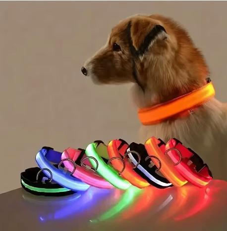 LED-hondenhalsband - nachtveiligheid, Dieren en Toebehoren, Honden-accessoires, Nieuw, Verzenden