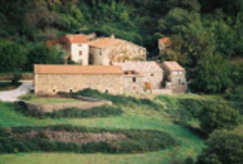 Vakantiehuis met zwembad te huur in Zuid-Frankrijk, Vakantie, Vakantiehuizen | Frankrijk, Languedoc-Roussillon, Landhuis of Villa
