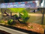 Aquarium complet 80/32/40, Comme neuf