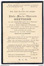 Zuster. Hertoghe Adèle. ° Berchem 1824 † Berchem 1901, Verzamelen, Bidprentjes en Rouwkaarten, Ophalen of Verzenden, Bidprentje