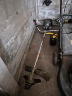 Bosmaaier, Enlèvement