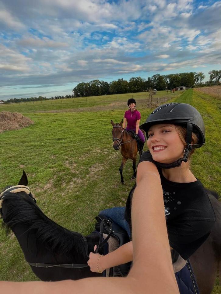 12jarige ruin, Dieren en Toebehoren, Paarden, Merrie, Niet van toepassing, 160 tot 165 cm, 7 tot 10 jaar, Gechipt, Ontwormd, Ingeënt