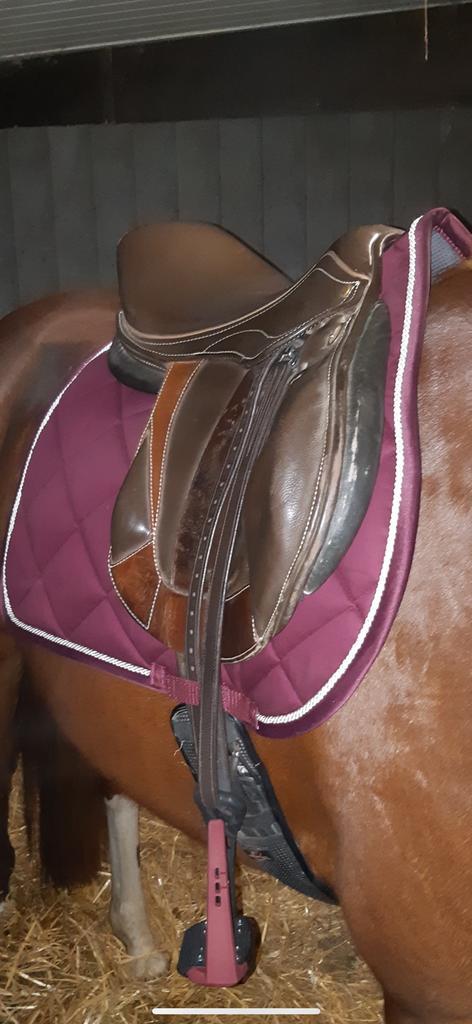Eventing-/springzadel, Dieren en Toebehoren, Paarden en Pony's | Zadels, Ophalen