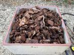 Orchideeënschors – 550 gram, Ophalen of Verzenden