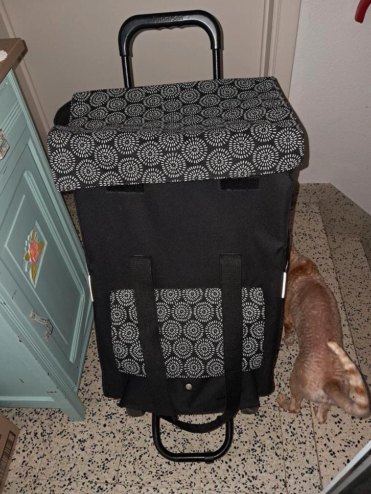 4 wiel boodschappen troley, Handtassen en Accessoires, Overige Accessoires, Ophalen