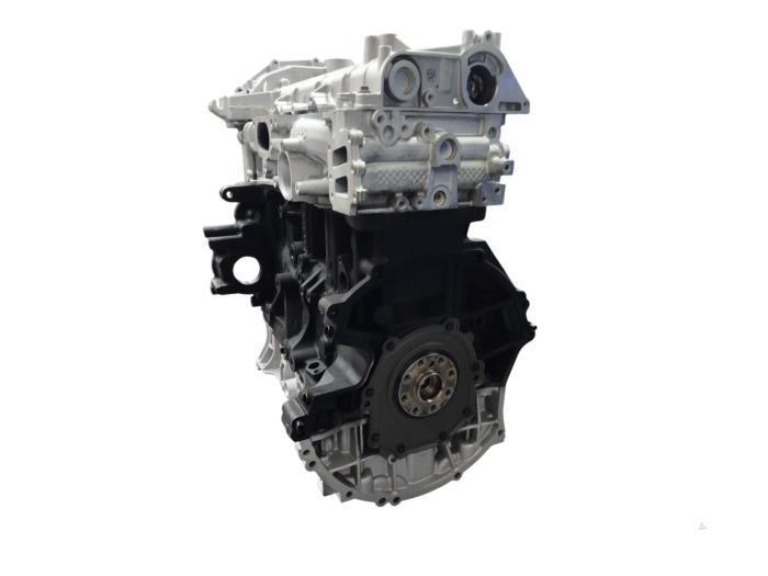 Motor van een Ford Transit, Auto-onderdelen, Motor en Toebehoren, Ford, Nieuw, 12 maanden garantie, Ophalen of Verzenden