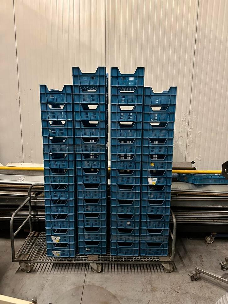 EPS kratten Euro Pool System, Zakelijke goederen, Horeca | Food, Ophalen