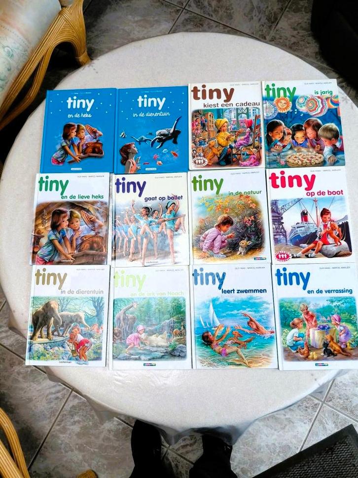 Prachtige verzameling Tiny-boekjes – 12 klassiekers !, CD & DVD, DVD | Classiques, Enlèvement ou Envoi