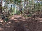 Bosgrond te koop in Balen, Immo