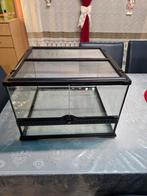 Terrarium, Enlèvement