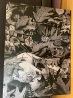 Subtiel naakt tussen herfstbladeren, Antiek en Kunst, Ophalen