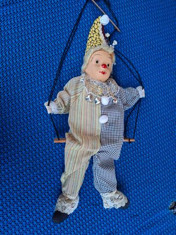 Harlekijn  beschikbaar voor biedingen