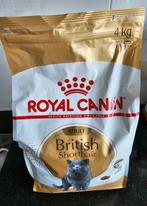 British shorthair adult 4kg, Animaux & Accessoires, Enlèvement