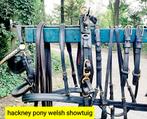 🔴CHIQUE MOOI HACKNEY, WELCH ,PONY ,SHOW TUIG 175 €  🔴, Ophalen of Verzenden