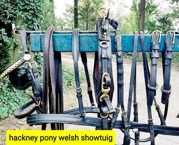  🔴CHIQUE MOOI HACKNEY, WELCH ,PONY ,SHOW TUIG 175 €  🔴 beschikbaar voor biedingen