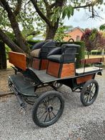 Easy step Chr van den heuvel, Gebruikt, Wagonette, Paard of Pony