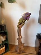 Houten leguaan decoratie, Enlèvement, Utilisé