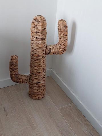 Decoratieve cactus  beschikbaar voor biedingen