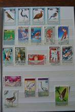 timbres Mongolie (alb 1)dans un album (n127), Timbres & Monnaies, Timbres | Asie, Affranchi, Enlèvement ou Envoi