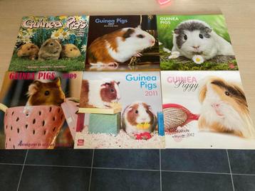 6 oude kalenders met prenten cavia's 