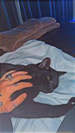 Gratis poes, Antiek en Kunst, Ophalen