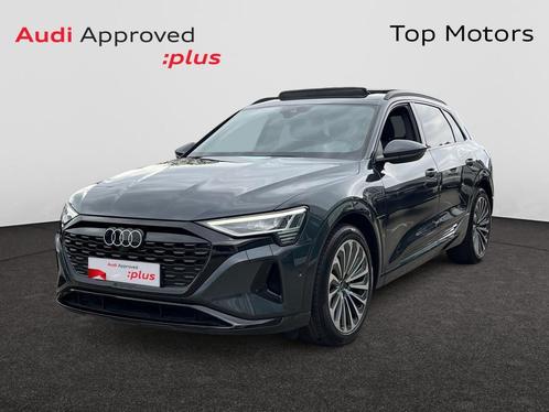 Audi Q8 e-tron 2J GAR*55*GROTE BATTERIJ*PANODAK*CARPLAY*LUCH, Auto's, Audi, Q8, ABS, Airbags, Cruise Control, Elektrische ramen