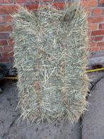 Hooi kleine balen, Dieren en Toebehoren, Ophalen, Vee