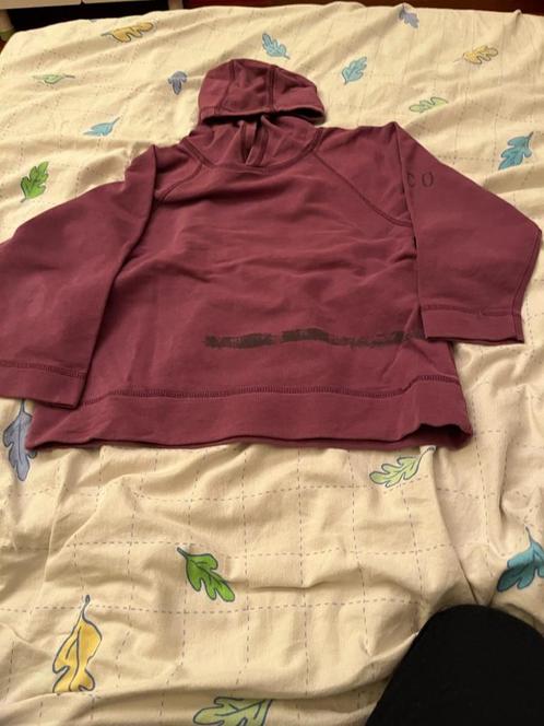 pull à capuche Filou & Co taille 104 - 4 ans, Enfants & Bébés, Vêtements enfant | Taille 104, Utilisé, Garçon ou Fille, Pull ou Veste