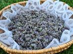 Fleurs de lavande bio récolte manuelle en sachets de 20 gr, Ophalen of Verzenden