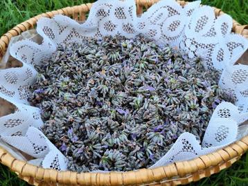 Fleurs de lavande bio récolte manuelle en sachets de 20 gr beschikbaar voor biedingen