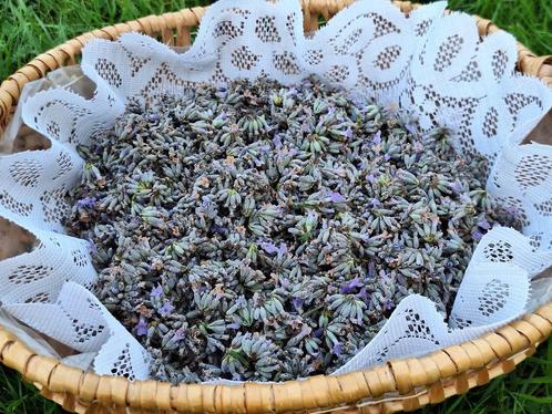 Fleurs de lavande bio récolte manuelle en sachets de 20 gr, Huis en Inrichting, Woonaccessoires | Droogbloemen, Ophalen of Verzenden