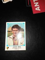 sticker Panini football 77 Janos Bedl Lierse, Verzamelen, Verzenden, Nieuw, Poster, Plaatje of Sticker