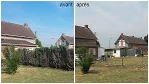 Elagage tout types d'arbres Taille haie, Jardin & Terrasse, Gazon & Gazon artificiel, Enlèvement ou Envoi