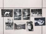 lot wit/zwart postkaarten met dieren, Verzamelen, Postkaarten | Dieren, Verzenden