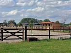 Stalhulp gezocht regio Lier, Dieren en Toebehoren, Paarden